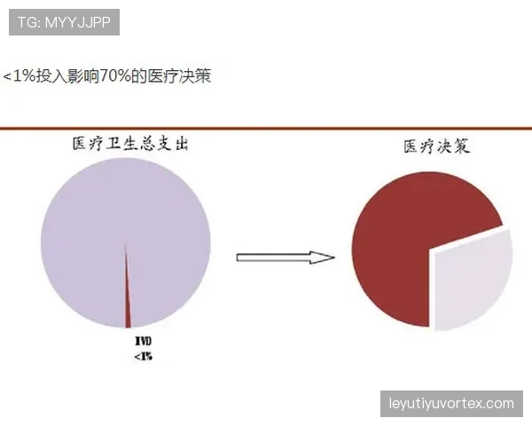 越位位置判断的关键规则与裁判实务详解